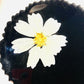 Afro Pick | Afro Head Puff Pick | Resin Pick | Cute Pick | Dried Flowers Pick | Hair Pick | Natural Hair Pick